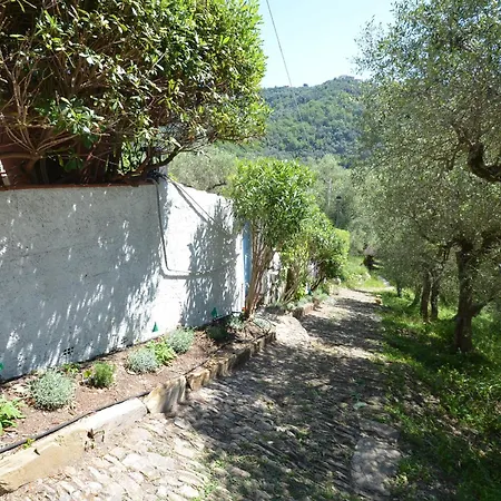 Rustico Holiday home Borgo (Perugia)